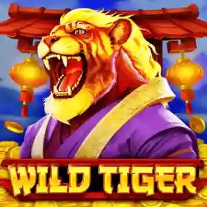Wild Tiger online game logo by BGAMING on beticocasino.pt